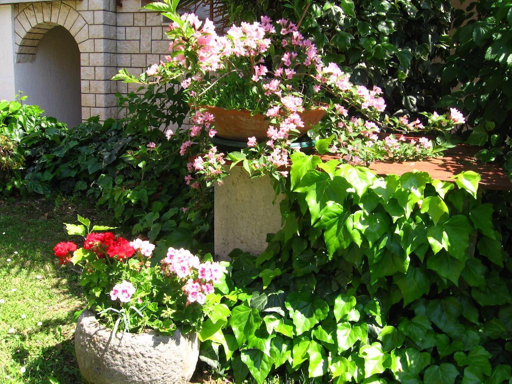 Guest House Caterina Poreč Eksteriør billede